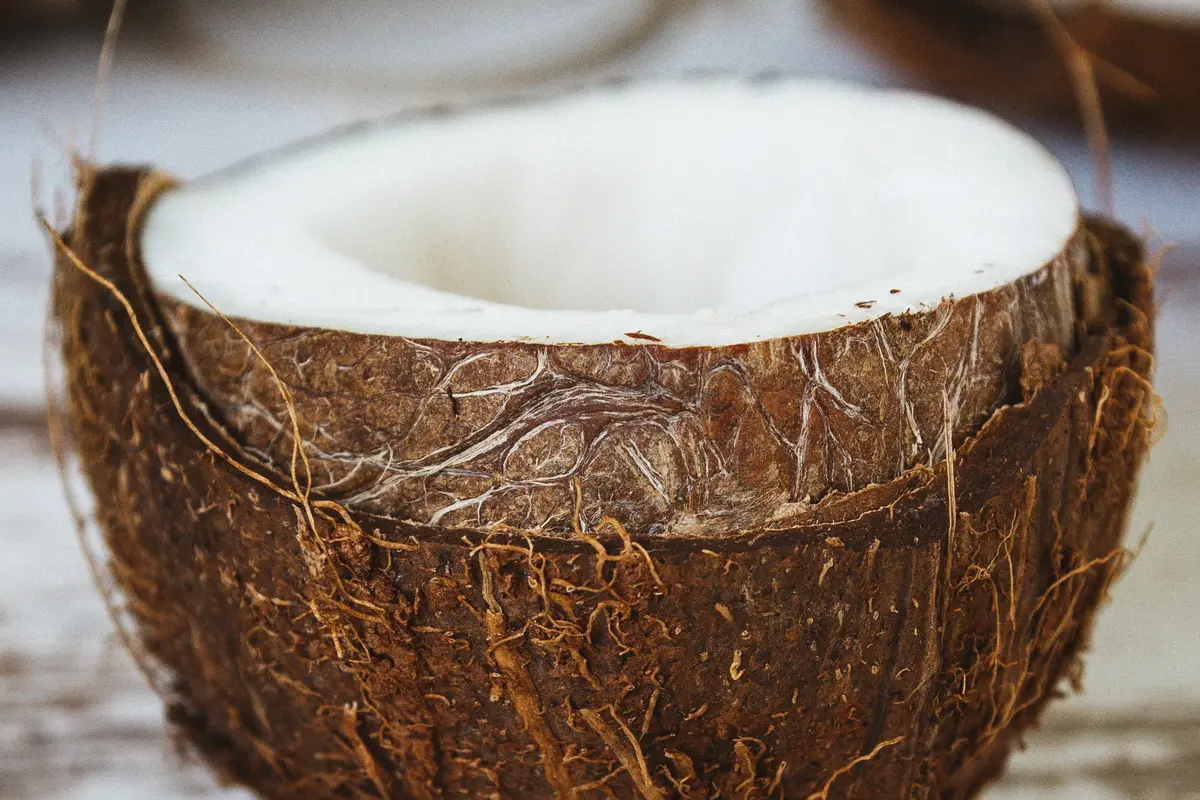 minyak kelapa