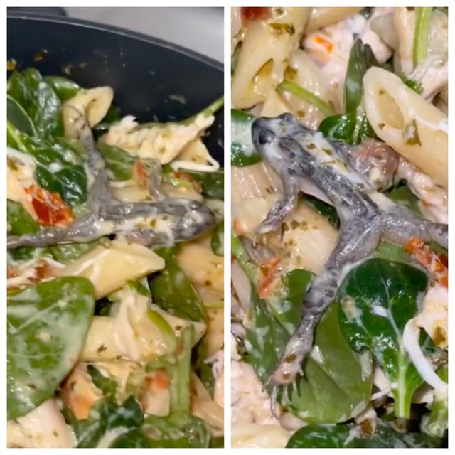 Bikin Gak Nafsu Makan, Wanita Ini Temukan Katak Mati di Dalam Tumisan Bayam
