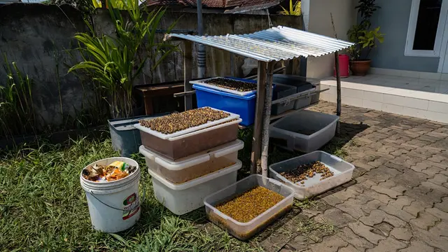 Ide Ternak Minim Bau yang Cocok untuk Lingkungan Perumahan (Foto: Reve.com)