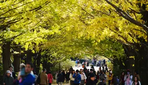 Jepang Mencari Ibu Kota Kedua