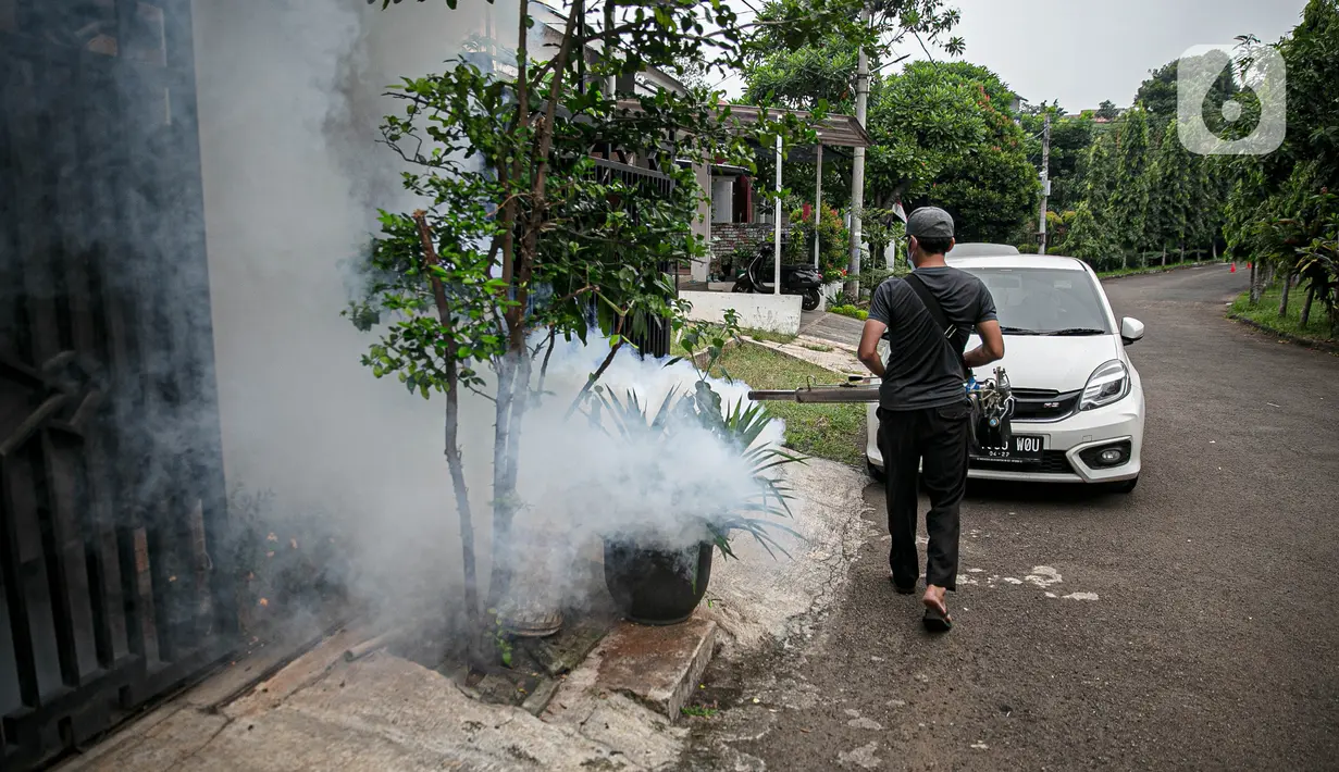 Seorang warga melakukan "fogging" atau pengasapan di perumahan Cinere Green Valley, Tangerang Selatan, Minggu (17/1/2021). Pengasapan untuk pencegahan penyakit Demam Berdarah Dengue (DBD) yang disebabkan gigitan nyamuk Aedes Aegypti terlebih sudah memasuki musim hujan. (Liputan6.com/Faizal Fanani)