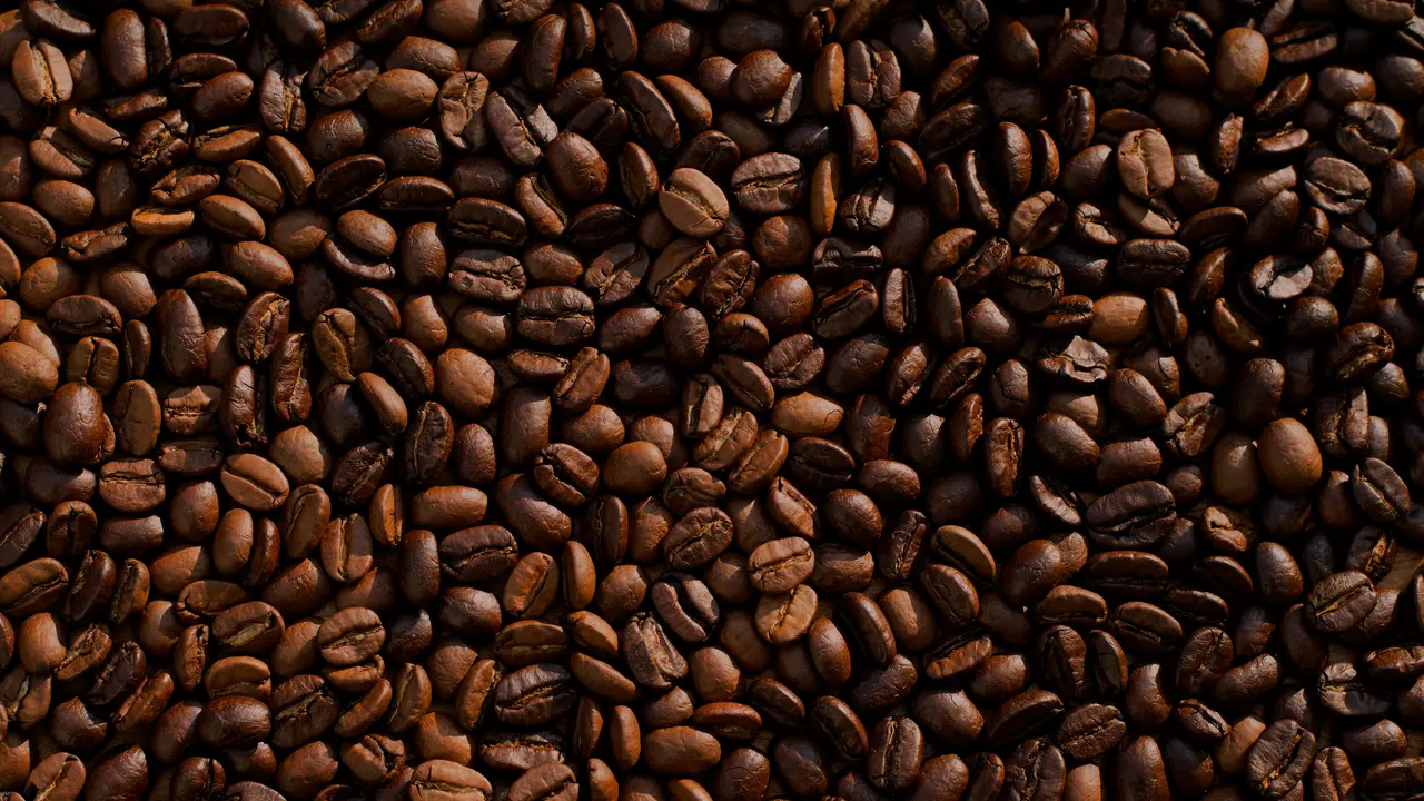 Biji Kopi Terbaik Dunia