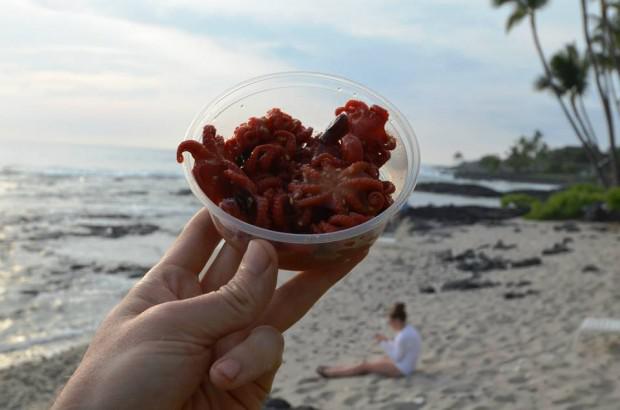 Bisa tebak ini jajanan apa?