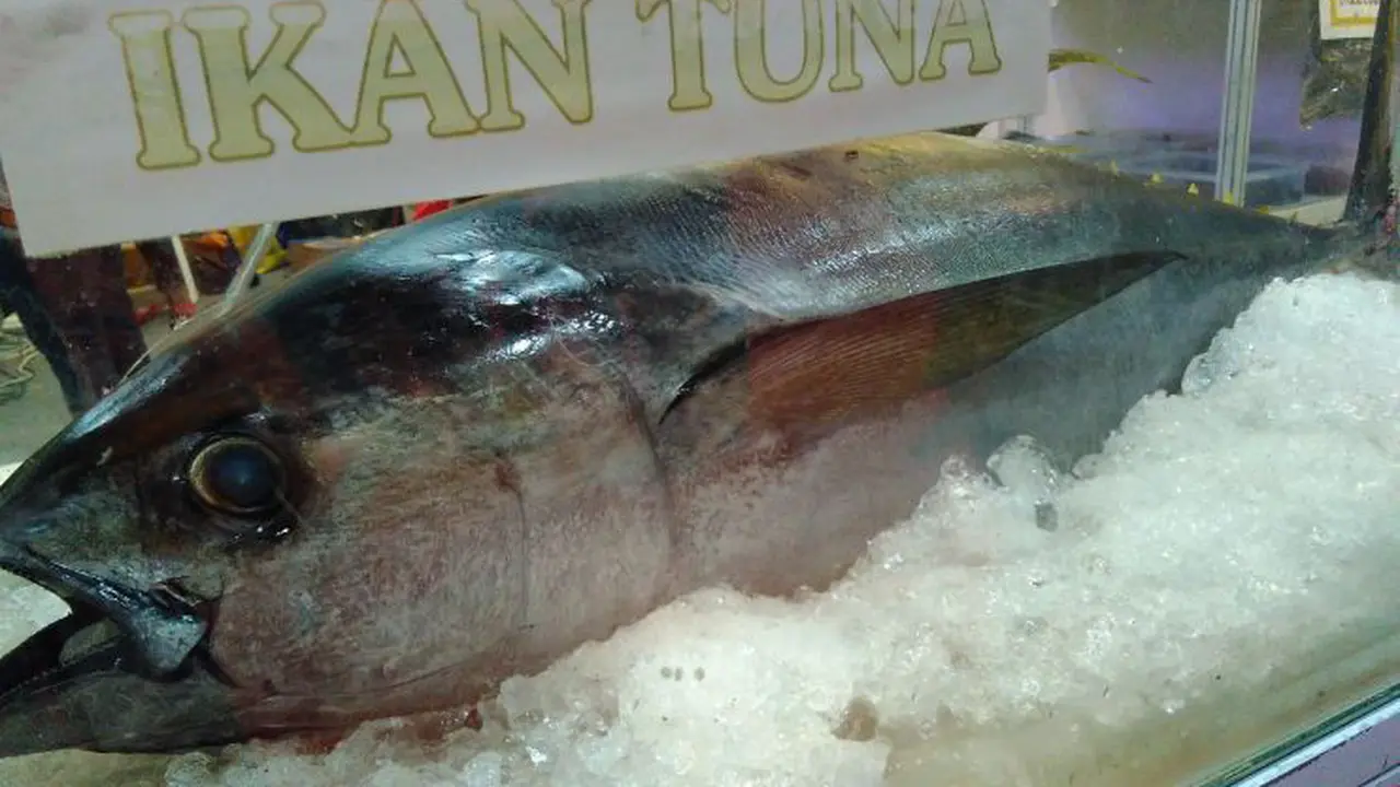 Ikan