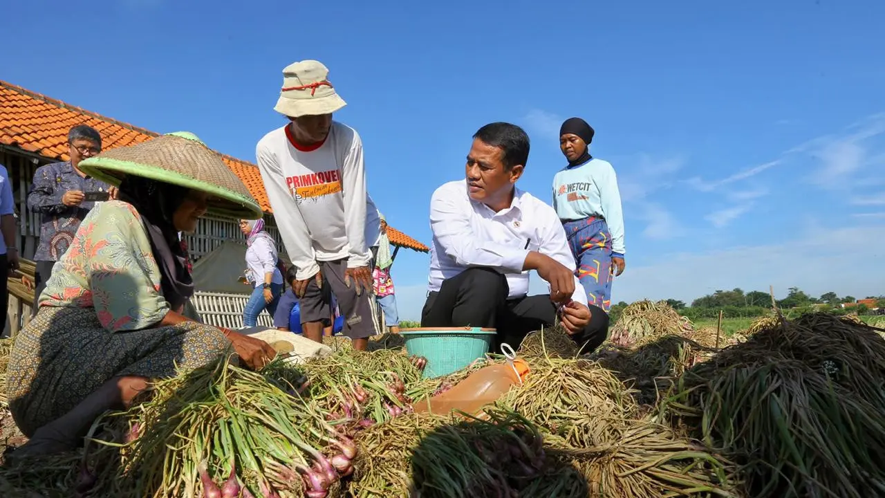 Mentan: Petani Brebes Masih Menikmati Keuntungan Harga Bawang Merah