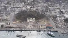 Sebuah pohon beringin menjulang di antara reruntuhan kebakaran hutan di Lahaina, Hawaii, Kamis (10/8/2023).  Di tengah reruntuhan Lahaina yang hangus terbakar, salah satu landmark kota bersejarah ini masih berdiri: pohon beringin berusia 150 tahun. (AP Photo/Rick Bowmer)