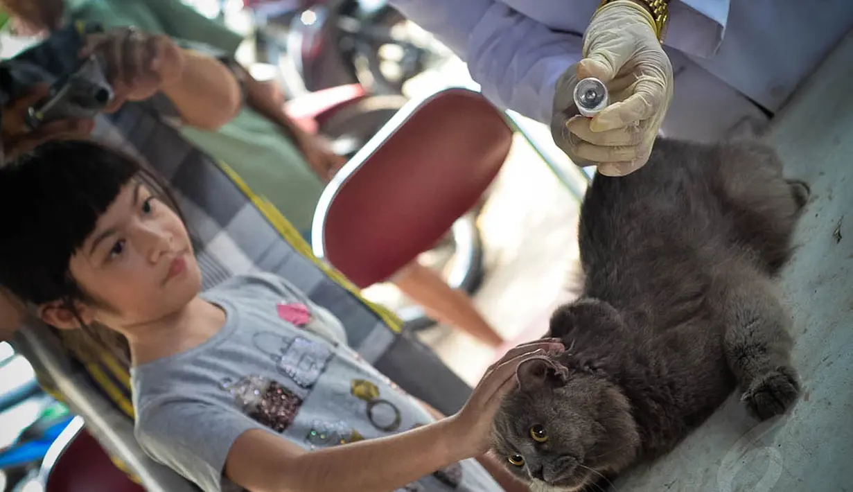 Pelaksanaan vaksin rabies akan dilaksanakan selama satu bulan penuh, sejak 26 Agustus-26 September mendatang, Jakarta, (3/9/14). (Liputan6.com/Faizal Fanani)