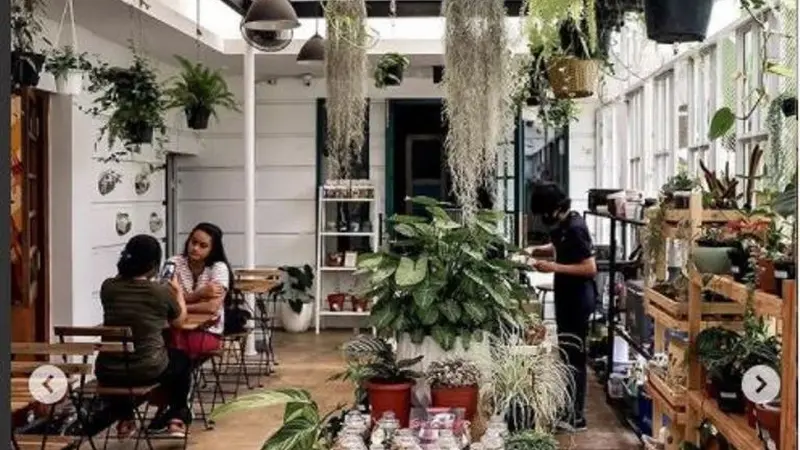 Kafe Plantarcana di Bandung, Jawa Barat