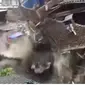 Tangkapan layar dari video yang menunjukan runtuhnya bangunan di bantaran Sungai Citepus, Kota Bandung. (Foto: Liputan6.com/Dikdik Ripaldi)