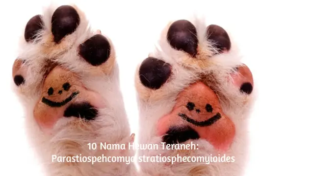 Foto: copyright ThinkStockPhotos.com