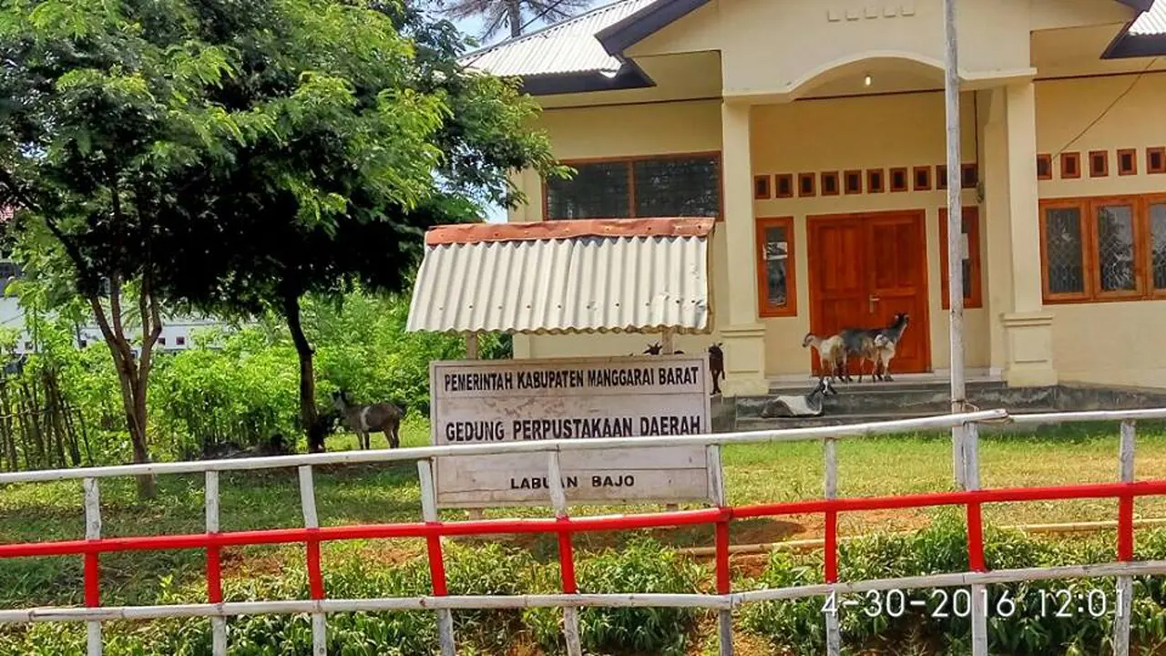 Foto Kambing Kunjungi Perpustakaan Sentil Kuping Orang Indonesia
