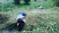 Lokasi penemuan potongan tubuh korban di Pekanbaru (Liputan6.com / M.Syukur)