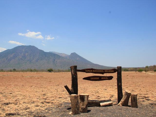 Pagi Yang Menawan Di Taman Nasional Baluran Regional