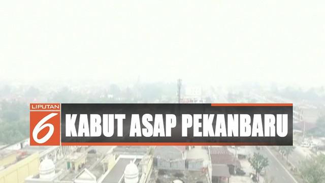 Berita Kabut Asap Pekanbaru Hari Ini Kabar Terbaru Terkini Liputan6 Com