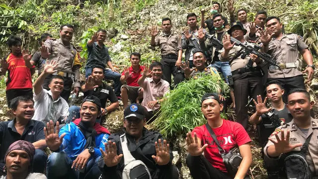 Polres Nias Selatan Temukan Satu Hektare Ladang Ganja di Perbukitan