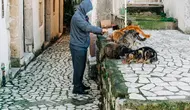 12 Ciri Orang yang Selalu Memberi Makan Kucing Liar, Ternyata Punya Karakter Ini
