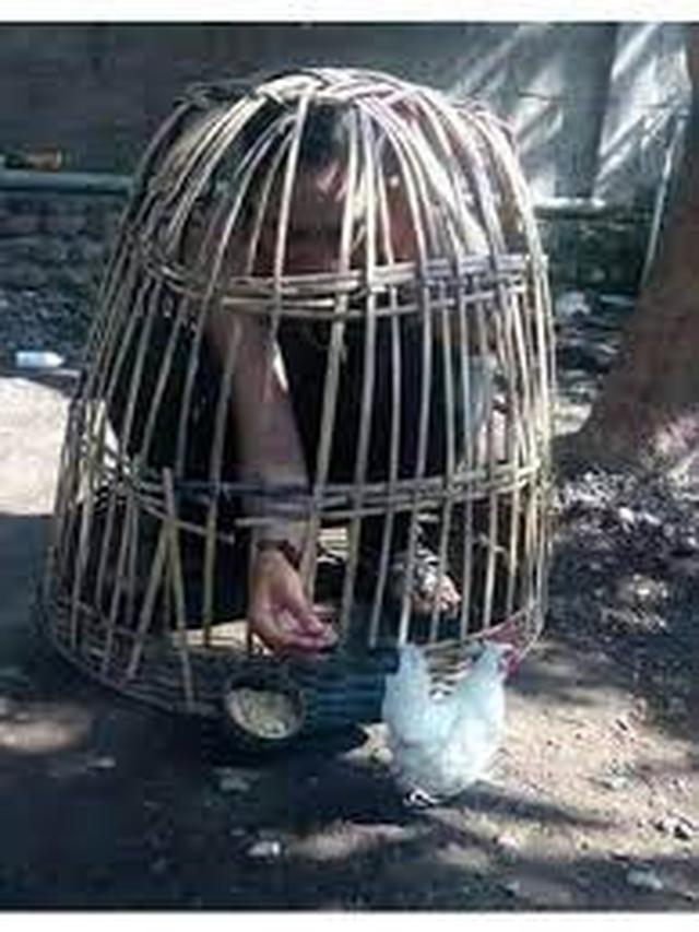 6 Tingkah Absurd Orang Masuk Kandang, Enggak Habis Pikir