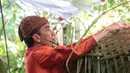 Bahkan seperti yang terlihat dalam foto, dengan menggunakan setelan beskap Jawa berwarna merah, Bapak Jokowi rela menaiki tangga besi untuk memasangkan anyaman daun kelapa di bagian atas depan rumahnya. (Adrian Putra/Bintang.com)