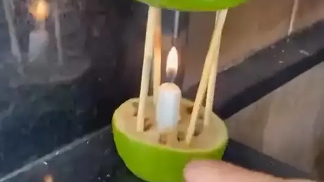 Tanpa Menabur Garam, Begini Trik Efektif Usir Nyamuk dengan 2 Bahan Dapur