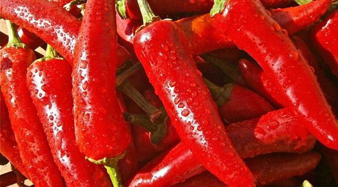 Apakah Bahaya Terlalu Banyak Makan Cabai & Pedas? Ini Faktanya! - Beauty  Fimela.com