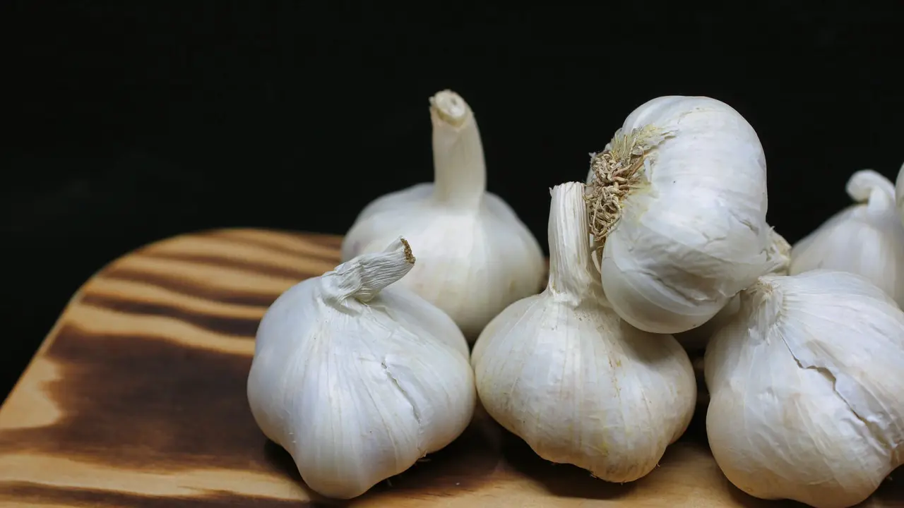 Bawang Putih