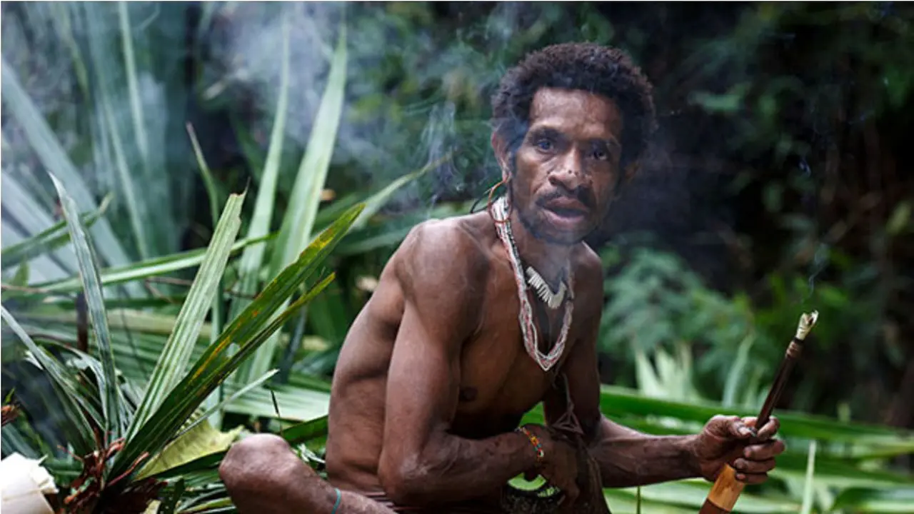 Korowai, Suku Primitif di Ketinggian 50 Meter Tanah Papua