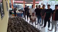 Polisi di Rokan Hilir Gagalkan Perdagangan Ribuan Belangkas Besar