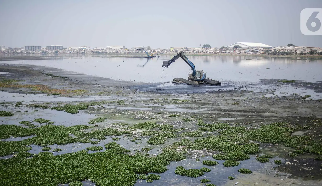 Alat berat mengeruk lumpur di Waduk Pluit, Jakarta, Rabu (30/10/2019). Pengerukan Waduk Pluit ditargerkan rampung pada November 2019. (Liputan6.com/ Faizal Fanani)