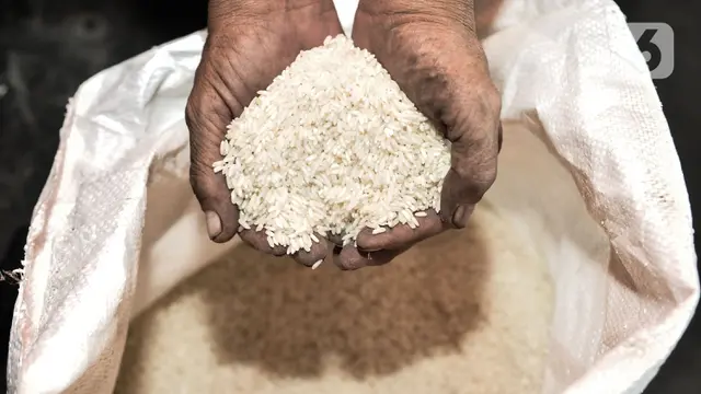 Ratusan Ribu Ton Beras Tak Terpakai di Gudang Bulog
