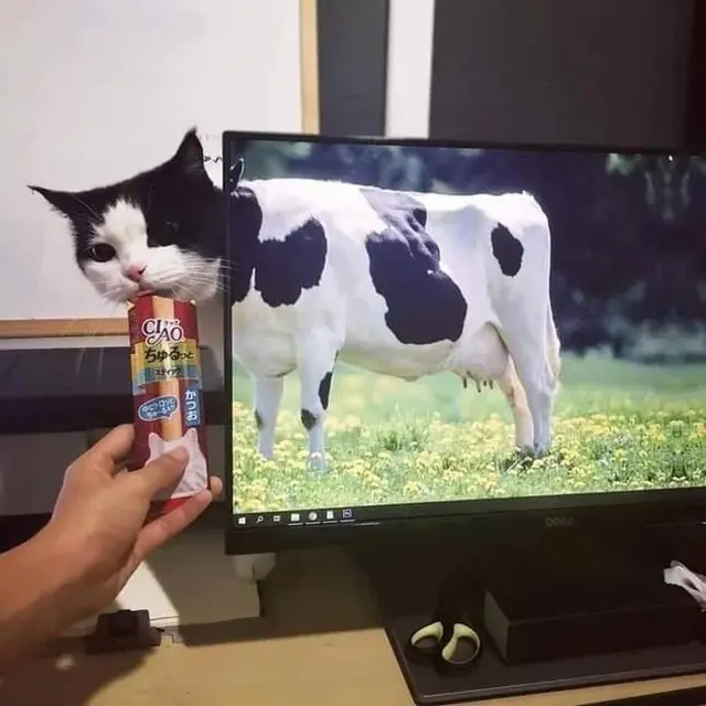 Foto ini bisa menipu mata