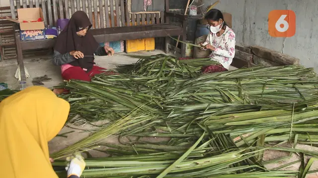 Lidi Kelapa Sawit