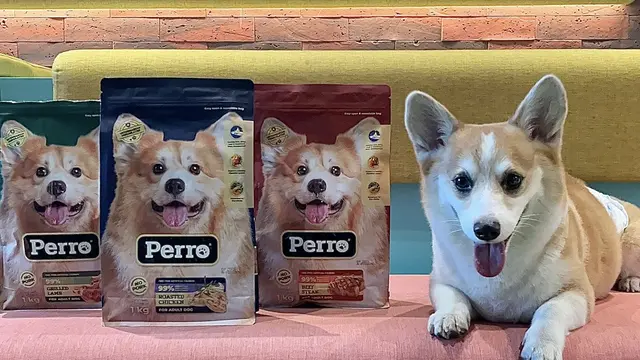 Kino Indonesia meluncurkan nutrisi hewan peliharaan khusus Anjing dengan merek Perro pada 6-8 September 2024 lalu di acara Indonesia International Pet Expo (IIPE) 2024. (Dok Kino)