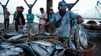 Sejak tiga hari terakhir, harga ikan segar di sejumlah pasar di Banda Aceh mengalami kenaikan. (Yasuyoshi CHIBA/AFP)