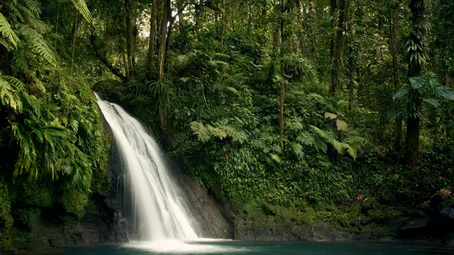 Ilustrasi Curug, air terjun