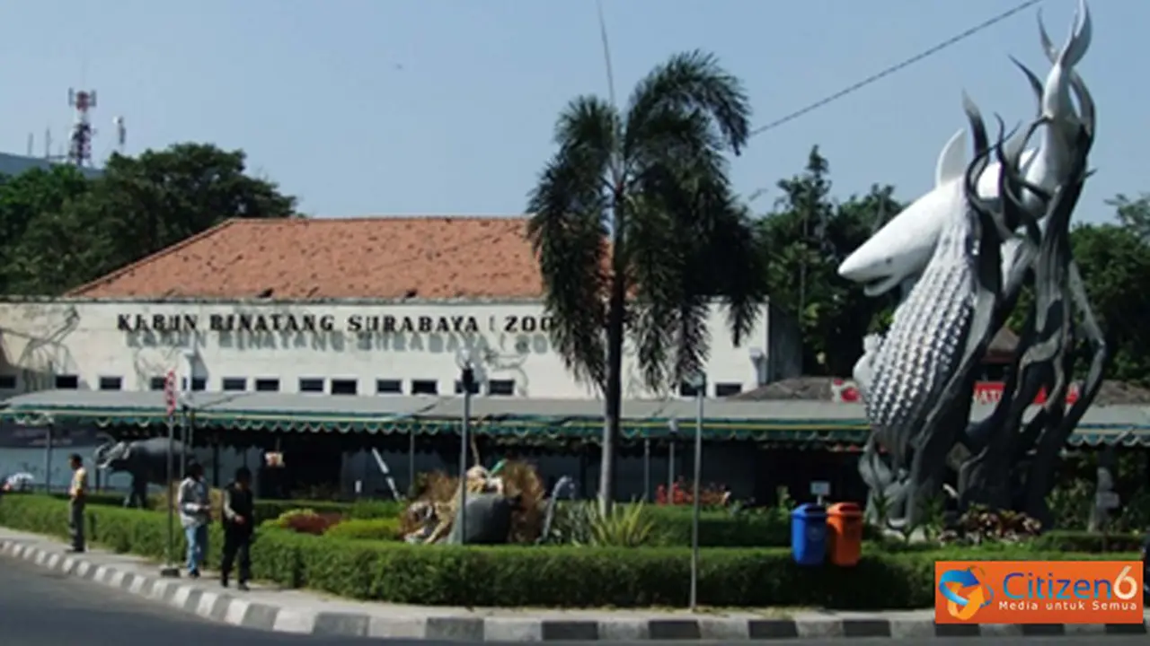 17122013-kebunbinatangsby.jpg