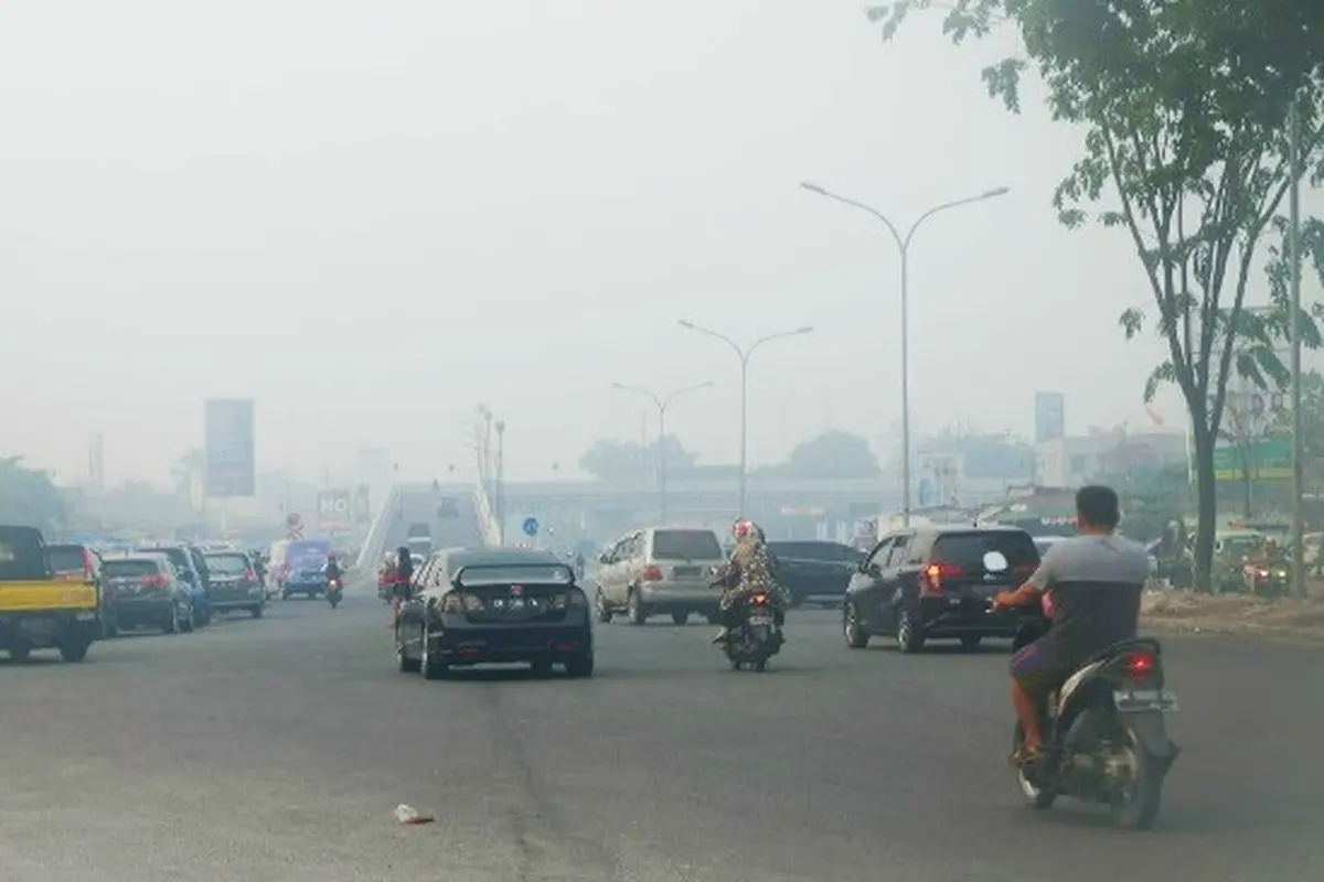 Bencana kabut asap di Riau beberapa waktu lalu akibat kebakaran hutan dan lahan.