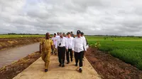 Menteri Pertanian, Andi Amran Sulaiman&nbsp;mengunjungi lokasi pengembangan varietas unggul padi Cakrabuana Agritan di Distrik Kurik, Kabupaten Merauke. (Dok Kementan)