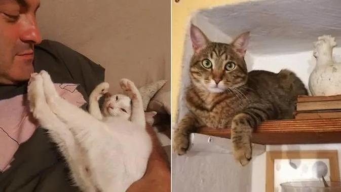 Pasangan asal Italia bernama Claudio Piana dan Sabrina Pellegrini berterima kasih pada dua kucingnya karena telah menyelamatkan mereka dari tanah longsor. (Facebook/Sabrina Pellegrini)