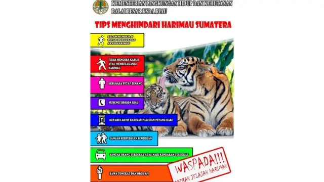 Selebaran yang disebar BBKSDA Riau kepada masyarakat di Kabupaten Kampar tentang harimau sumatra.