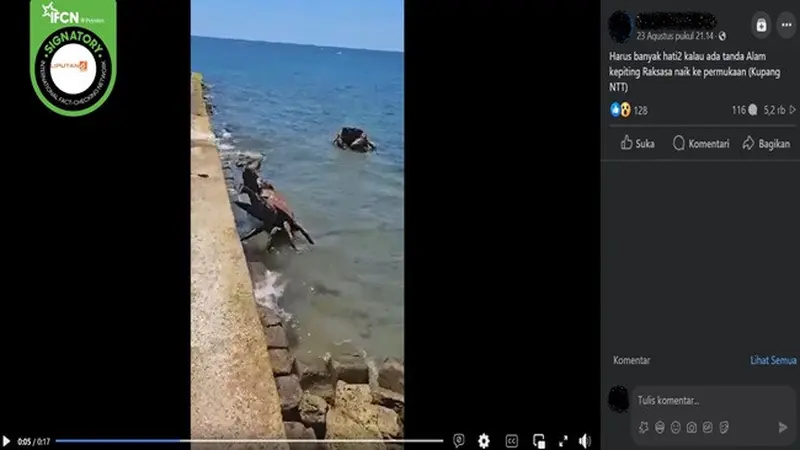 Gambar tangkapan layar video yang diklaim penampakan kepiting raksasa naik ke permukaan di Kupang, NTT. (sumber: Facebook)