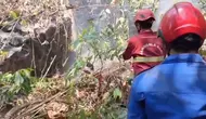 Kebakaran Hutan Taman Nasional Babul Meluas