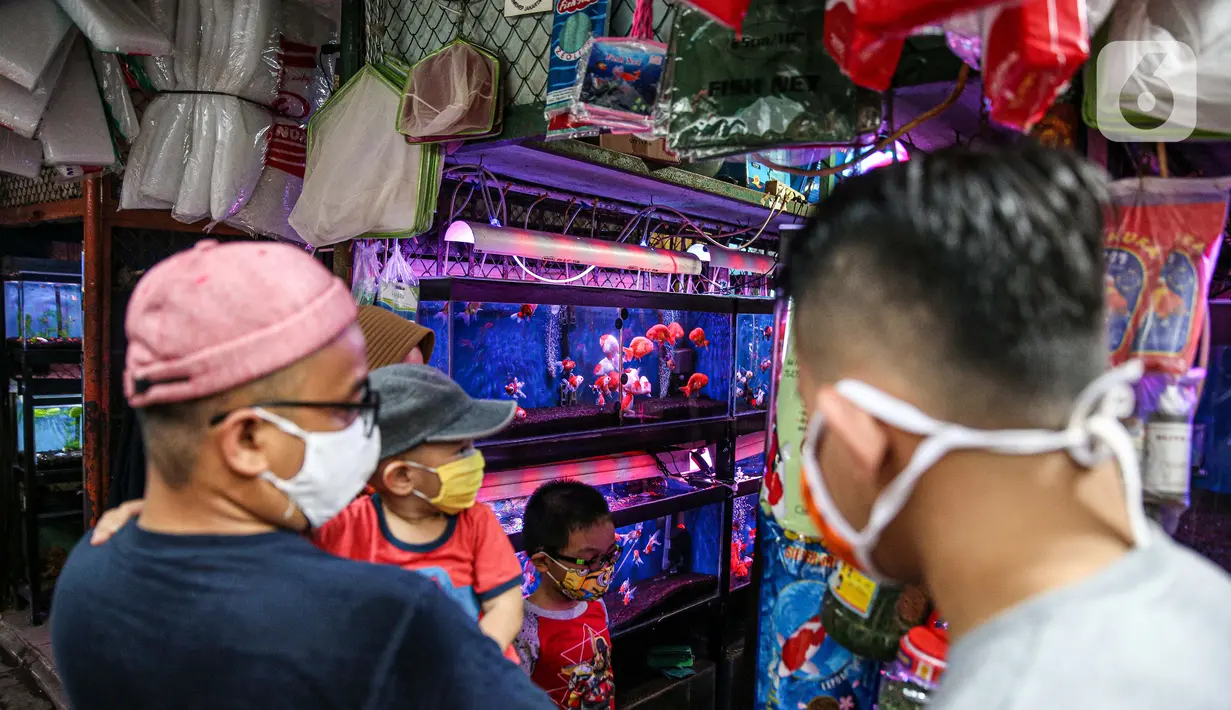 Warga melihat koleksi ikan hias yang dijual pedagang di Sentra Ikan Hias di Jalan Sumenep, Menteng, Jakarta, Sabtu (18/7/2020). Sentra ikan tersebut biasanya ramai dikunjungi warga setiap akhir pekan. (Liputan6.com/Faizal Fanani)
