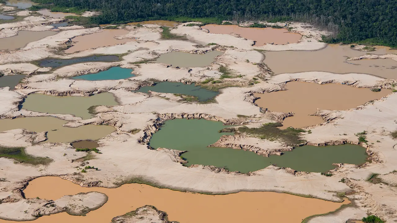 Kerusakan Hutan Amazon Akibat Penambangan Ilegal