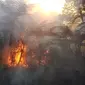 Kebakaran Gunung Slamet di Purbalingga, Jawa Tengah. (Foto: Liputan6.com/Perhutani/Muhamad Ridlo)
