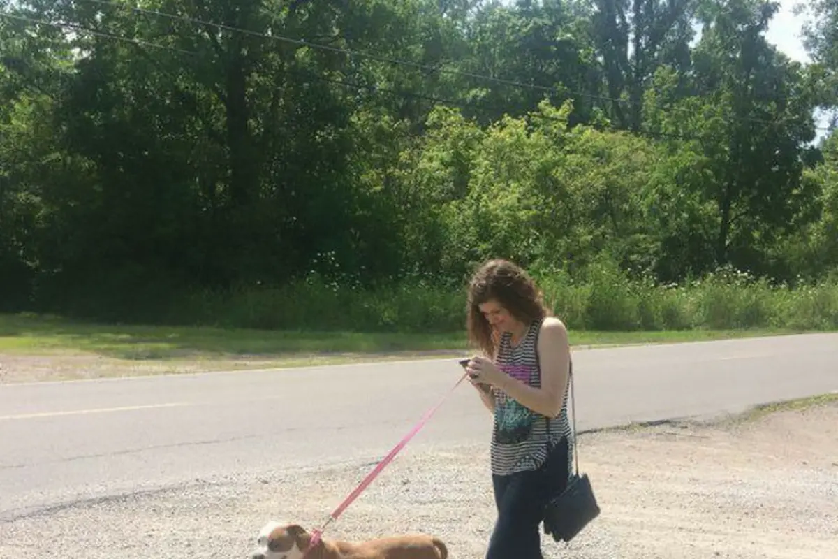 [BIntang] Penampungan Hewan Ini Ajak Relawan Main Pokemon Go Bersama Anjing