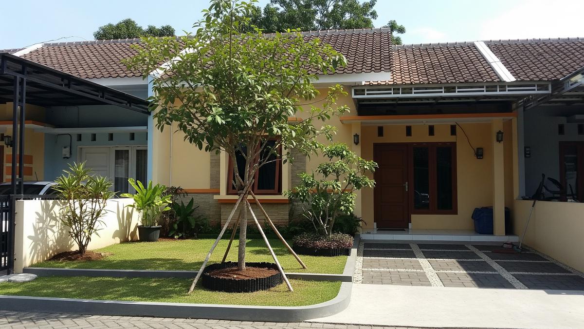 8 Ide Pembatas Akar Murah untuk Rumah Tipe 36, Bikin Terlihat Rapi
