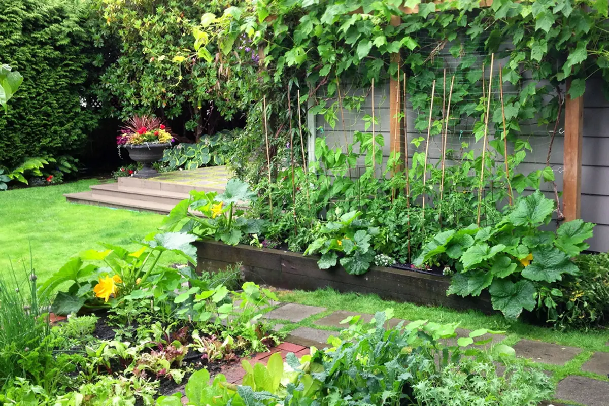 10 Tips Merawat Tanaman di Pekarangan Rumah