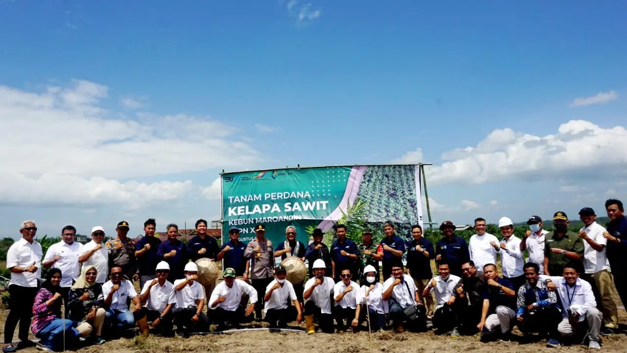 Holding Perkebunan Nusantara PTPN III (Persero) memulai proses budidaya kelapa sawit di wilayah Kabupaten Enrekang, Sulawesi Selatan.