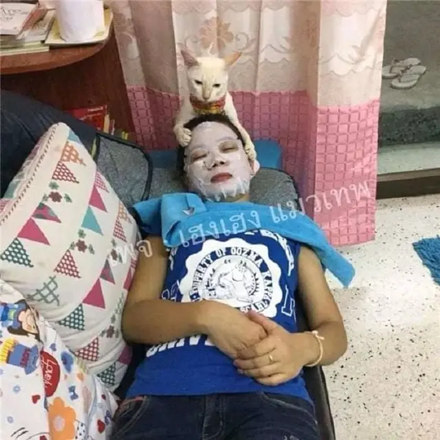 Kelakuan Kucing Lakukan Pekerjaan Rumah Ini Bak Manusia, Bikin Geleng Kepala