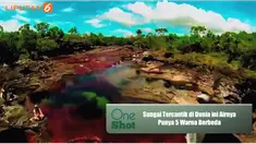 Uniknya sungai ini mempunyai air yang berwarna seperti pelangi: merah, kuning, hijau, cokelat, dan biru. Yuk lihat indahnya sungai ini di sini!